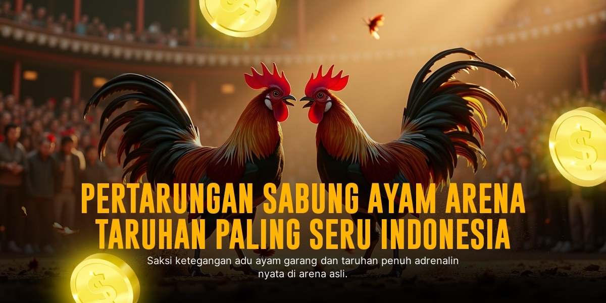Mengenal Ayam Bangkok: Raja Sabung Ayam dengan Peluang Menang Tinggi